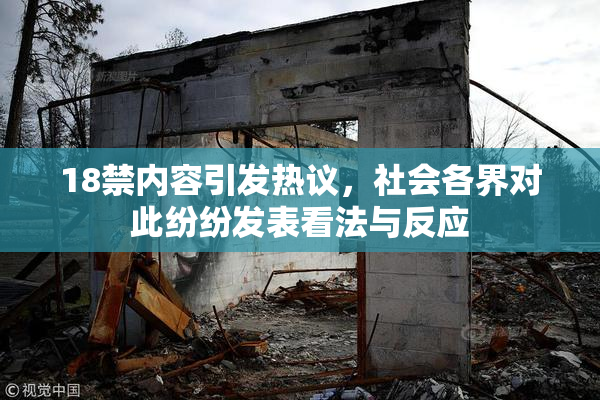 18禁内容引发热议，社会各界对此纷纷发表看法与反应