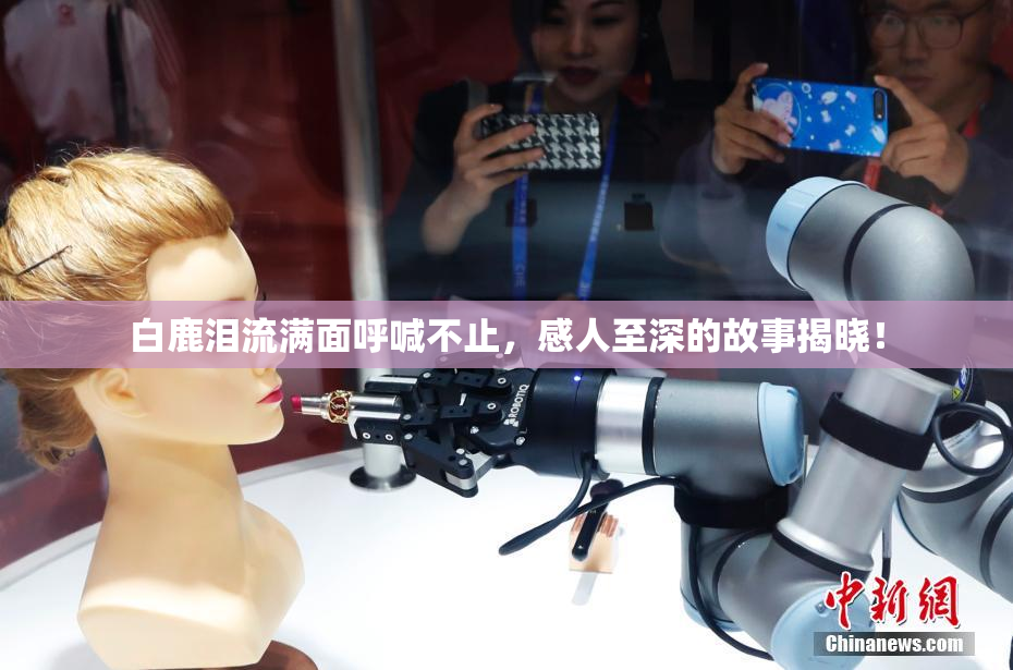 白鹿泪流满面呼喊不止，感人至深的故事揭晓！