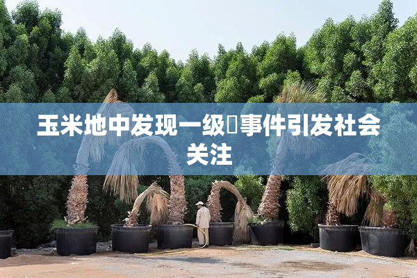 玉米地中发现一级婬事件引发社会关注