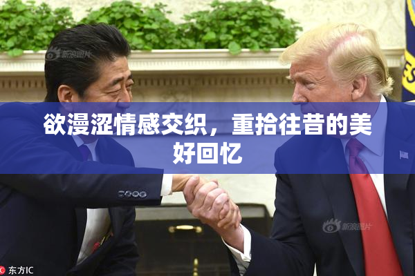 欲漫涩情感交织，重拾往昔的美好回忆