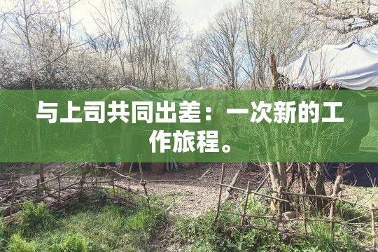 与上司共同出差：一次新的工作旅程。