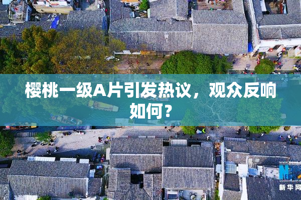 樱桃一级A片引发热议，观众反响如何？