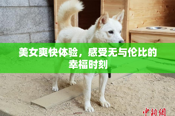 美女爽快体验，感受无与伦比的幸福时刻