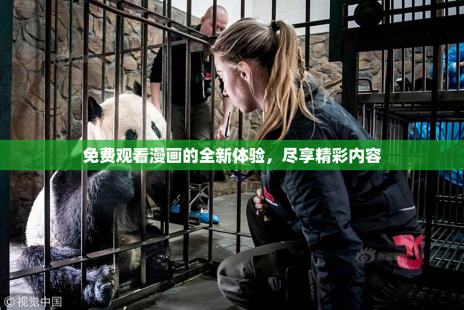 免费观看漫画的全新体验，尽享精彩内容