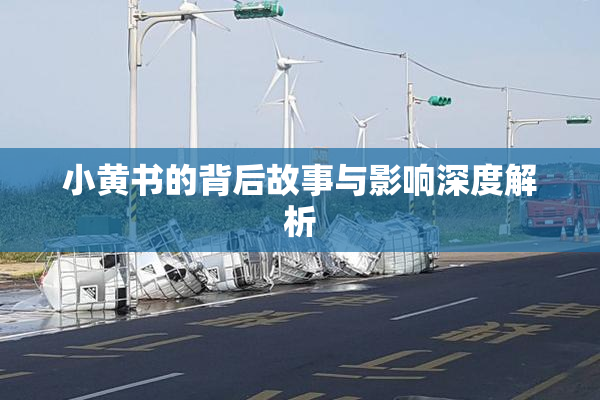 小黄书的背后故事与影响深度解析