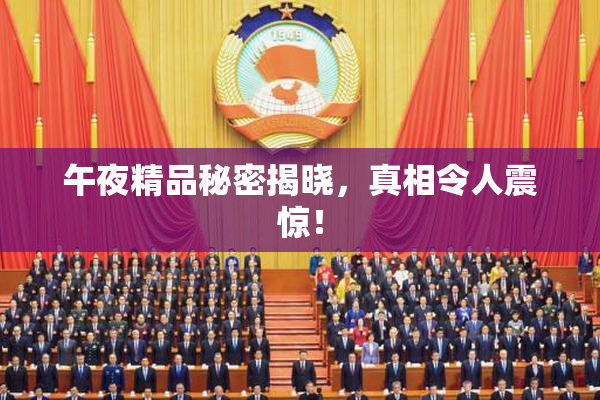 午夜精品秘密揭晓，真相令人震惊！