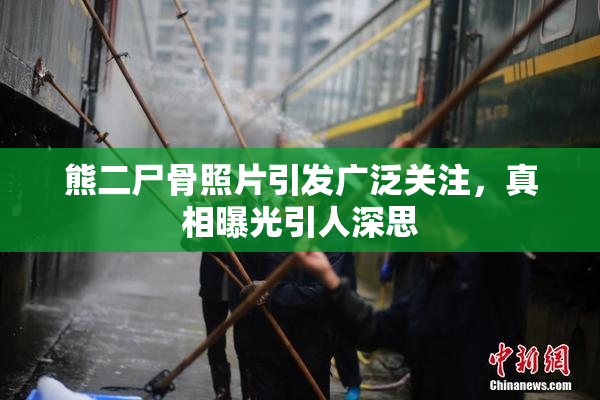 熊二尸骨照片引发广泛关注，真相曝光引人深思