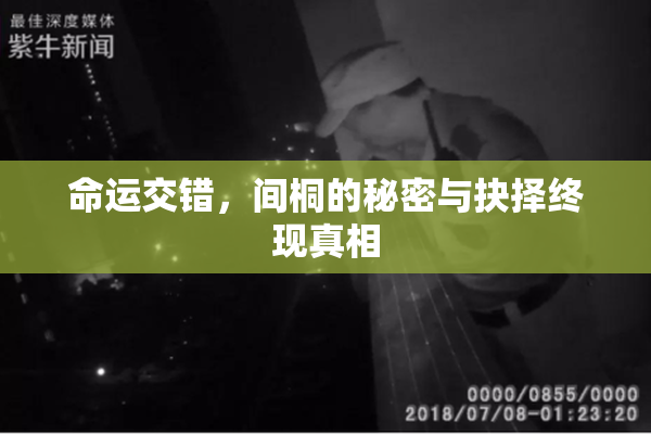 命运交错，间桐的秘密与抉择终现真相