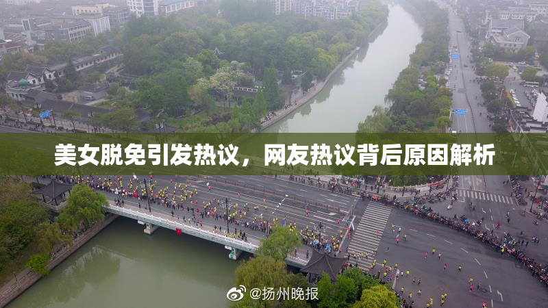 美女脱免引发热议，网友热议背后原因解析