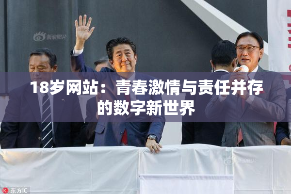 18岁网站：青春激情与责任并存的数字新世界