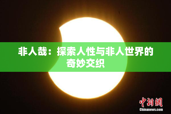 非人哉：探索人性与非人世界的奇妙交织