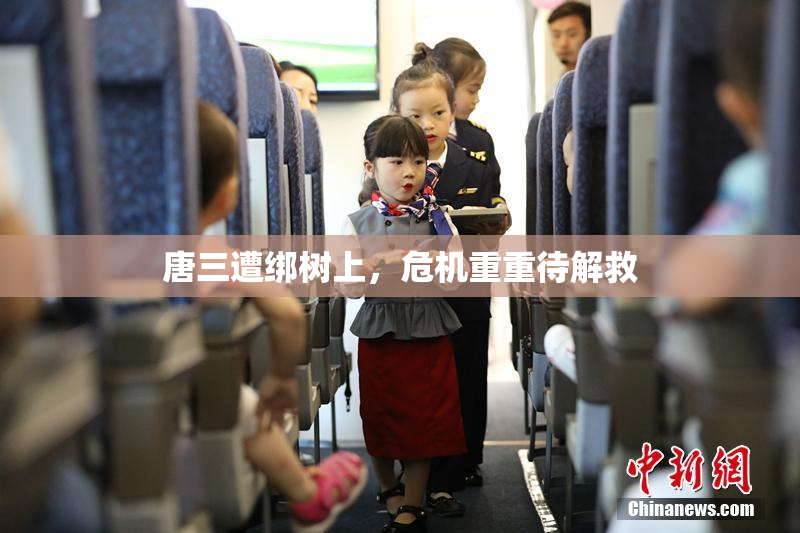 唐三遭绑树上，危机重重待解救
