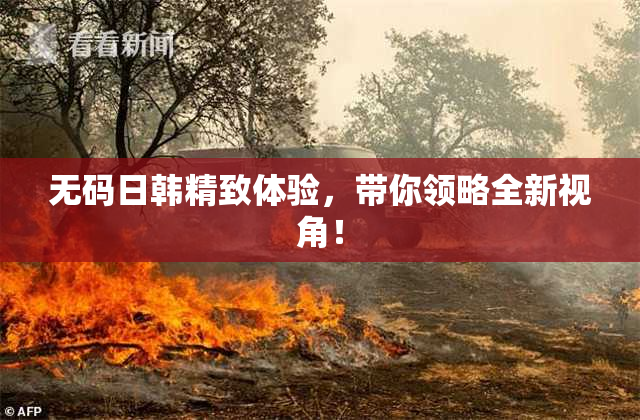 无码日韩精致体验，带你领略全新视角！