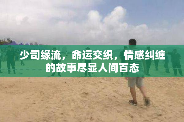 少司缘流，命运交织，情感纠缠的故事尽显人间百态