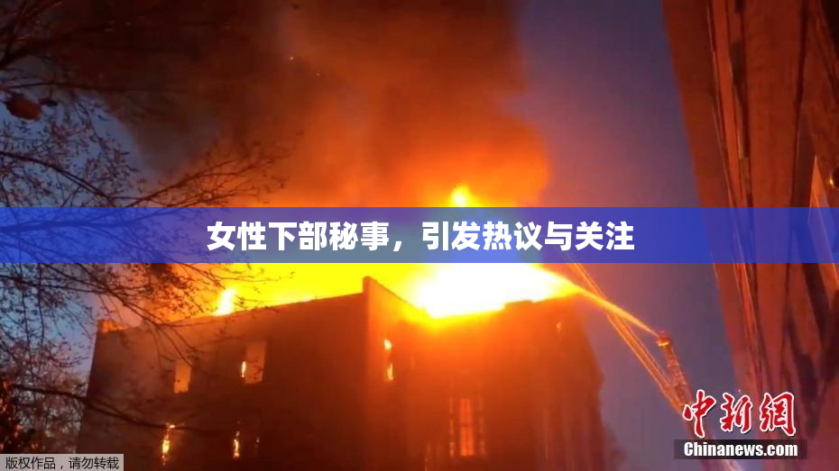 女性下部秘事，引发热议与关注