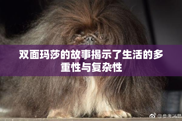 双面玛莎的故事揭示了生活的多重性与复杂性