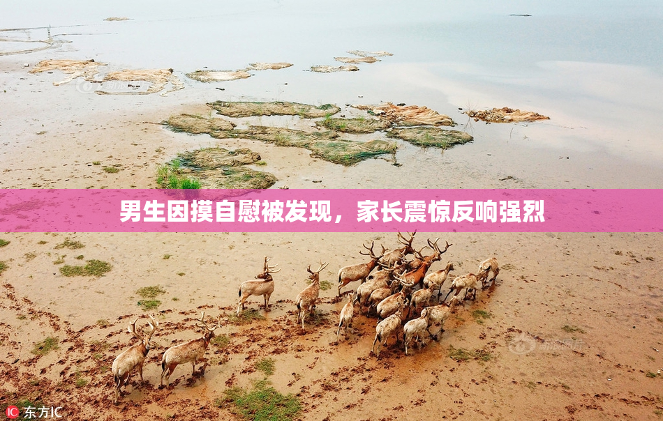 男生因摸自慰被发现，家长震惊反响强烈