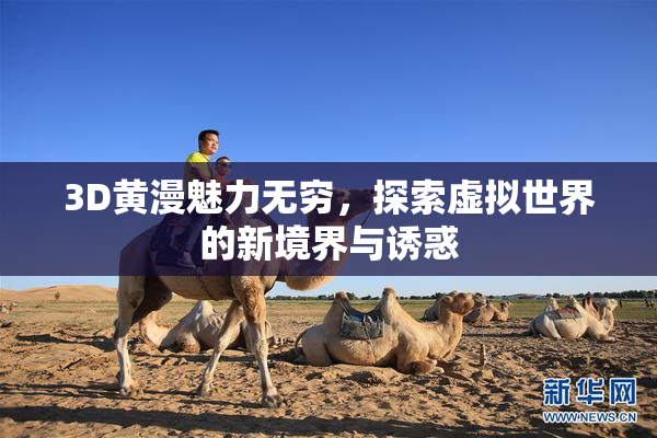 3D黄漫魅力无穷，探索虚拟世界的新境界与诱惑