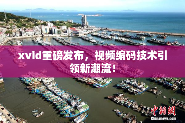 xvid重磅发布，视频编码技术引领新潮流！