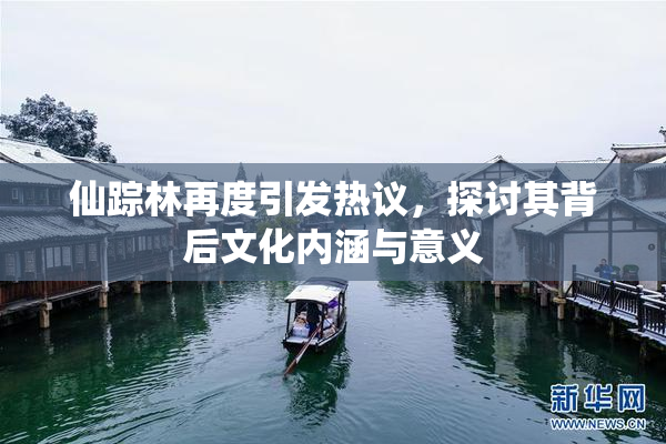 仙踪林再度引发热议，探讨其背后文化内涵与意义