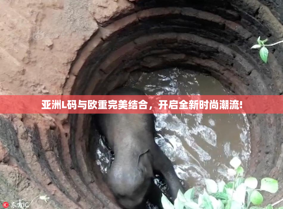 亚洲L码与欧重完美结合，开启全新时尚潮流!