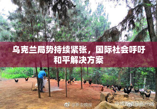 乌克兰局势持续紧张，国际社会呼吁和平解决方案
