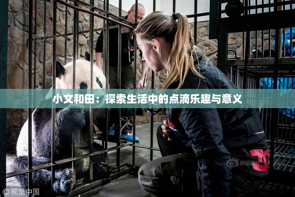 小文和田：探索生活中的点滴乐趣与意义