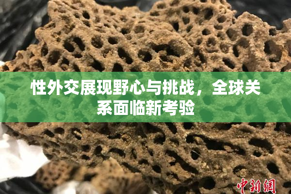 性外交展现野心与挑战，全球关系面临新考验