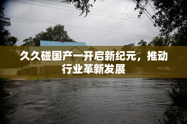 久久碰国产一开启新纪元，推动行业革新发展