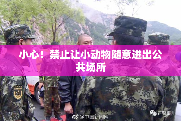 小心！禁止让小动物随意进出公共场所