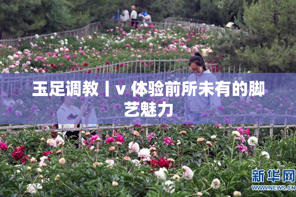 玉足调教丨v 体验前所未有的脚艺魅力