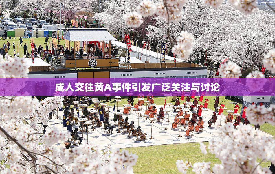 成人交往黄A事件引发广泛关注与讨论