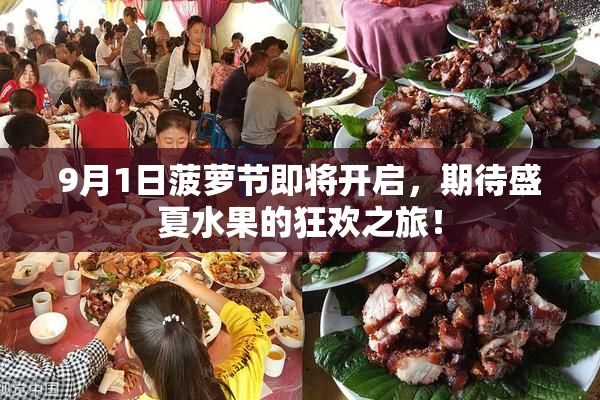 9月1日菠萝节即将开启，期待盛夏水果的狂欢之旅！
