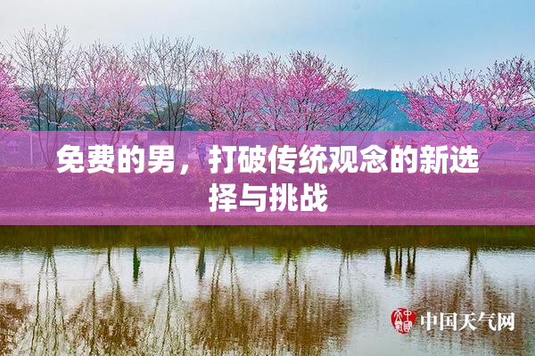 免费的男，打破传统观念的新选择与挑战