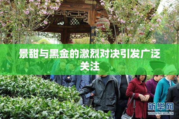 景甜与黑金的激烈对决引发广泛关注