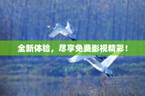 全新体验，尽享免费影视精彩！