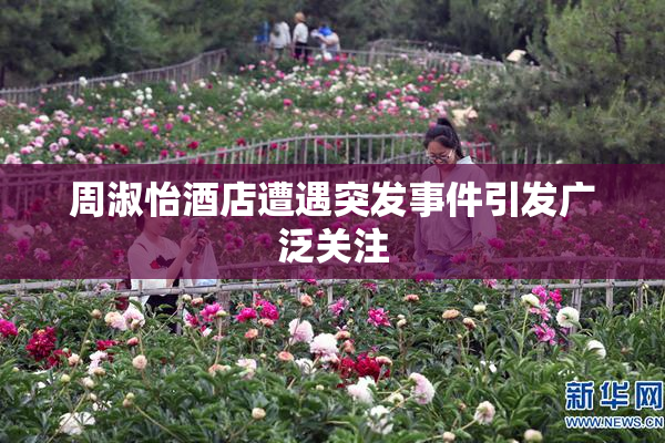 周淑怡酒店遭遇突发事件引发广泛关注