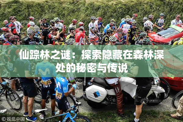 仙踪林之谜：探索隐藏在森林深处的秘密与传说
