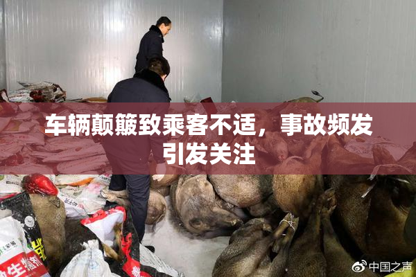 车辆颠簸致乘客不适，事故频发引发关注