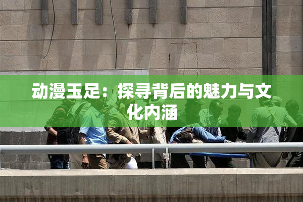 动漫玉足：探寻背后的魅力与文化内涵