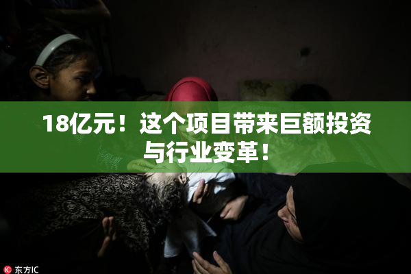 18亿元！这个项目带来巨额投资与行业变革！