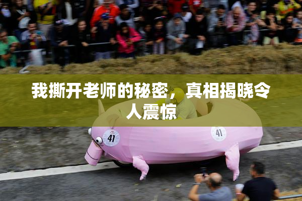 我撕开老师的秘密，真相揭晓令人震惊