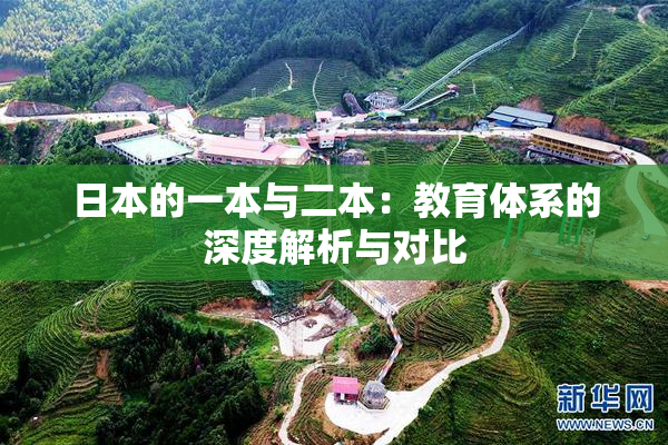 日本的一本与二本：教育体系的深度解析与对比
