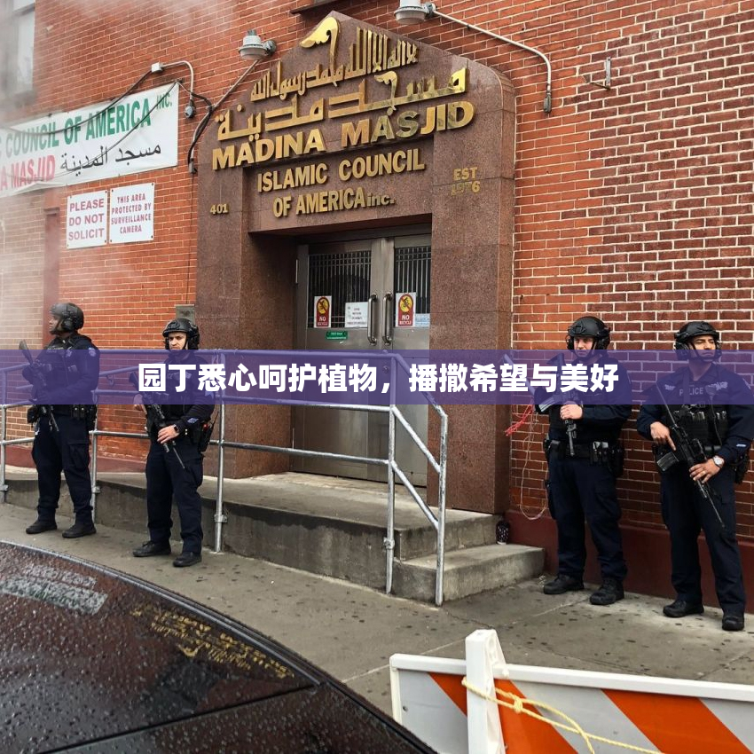园丁悉心呵护植物，播撒希望与美好