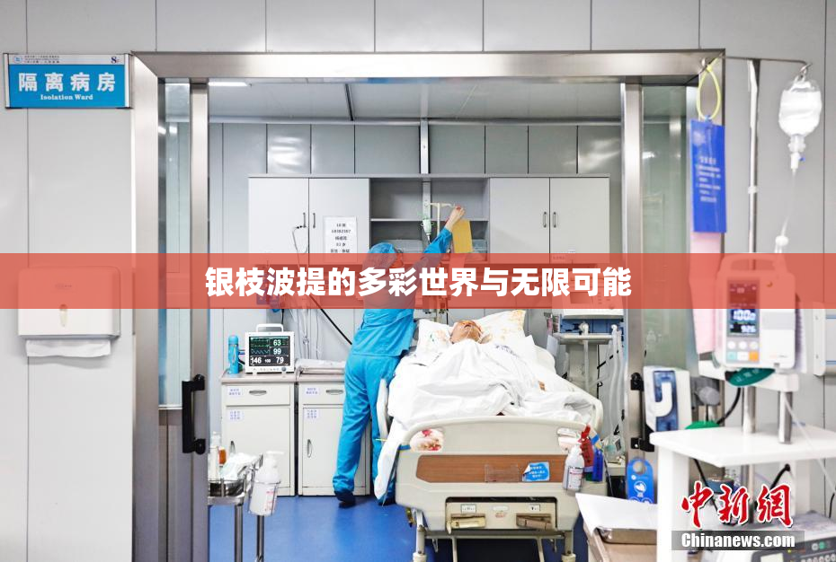 银枝波提的多彩世界与无限可能