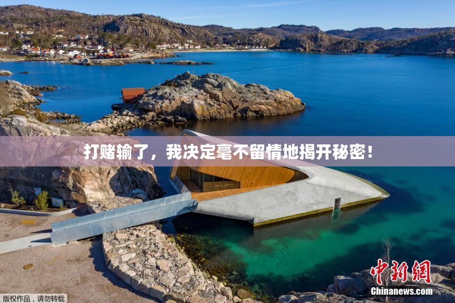 打赌输了，我决定毫不留情地揭开秘密！