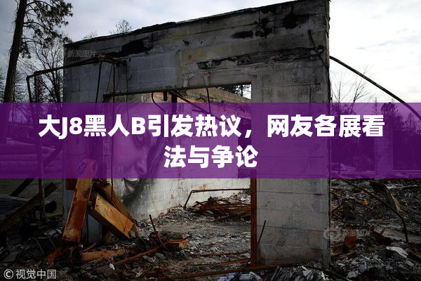 大J8黑人B引发热议，网友各展看法与争论
