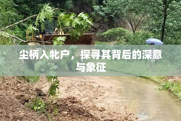 尘柄入牝户，探寻其背后的深意与象征