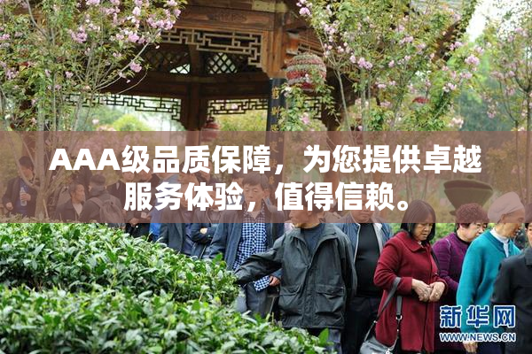 AAA级品质保障，为您提供卓越服务体验，值得信赖。