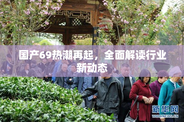 国产69热潮再起，全面解读行业新动态